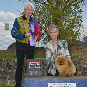 Bradley first majors in lewiston